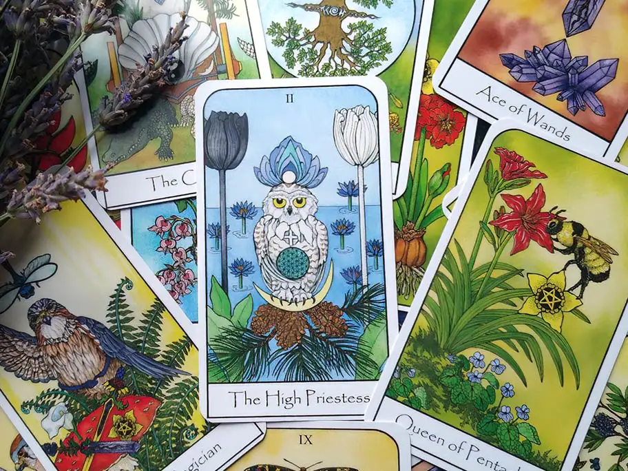 Tarot Mentoring